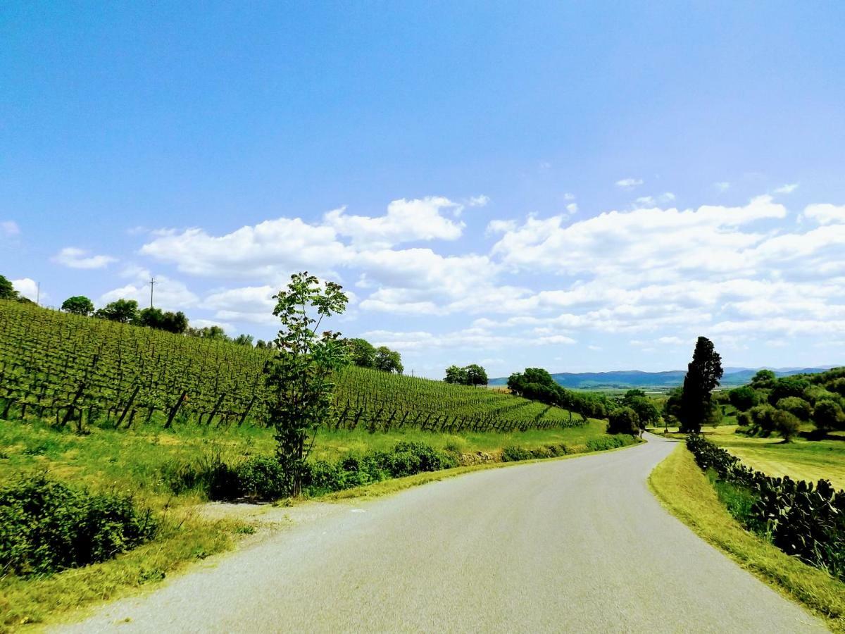 Centralissimo Nel Cuore Del Borgo Suvereto Zewnętrze zdjęcie